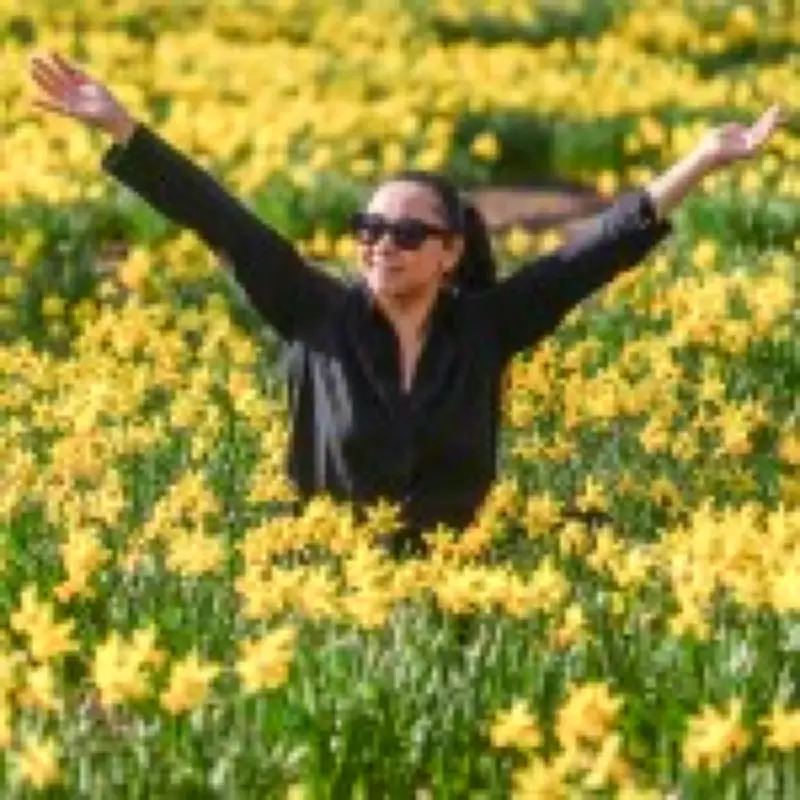 UK Weather: Temperatures Soar to 19°C Today, But Rain Returns Tomorrow