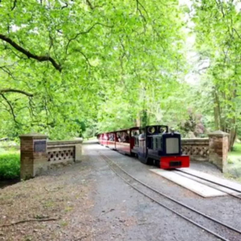 UK's First Electric Steam Train to Launch Near London in Historic Essex Town