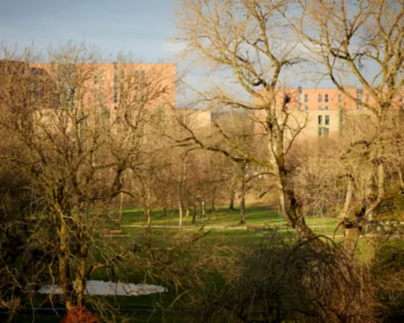 Urban Nature Deserts: England's Stark Divide in Green Space Access Revealed