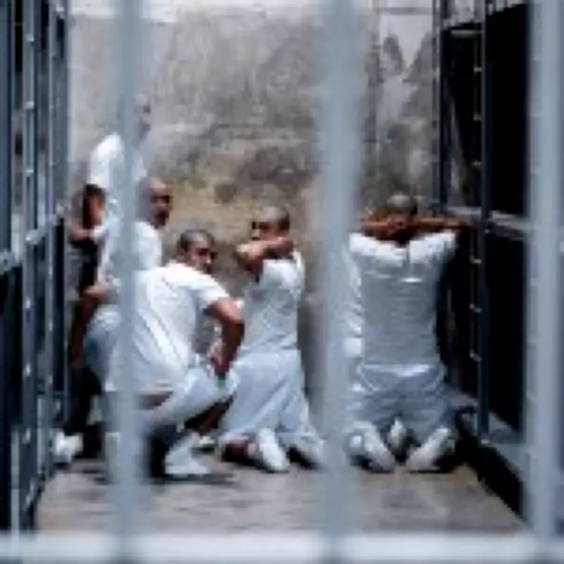 US Deportees Vanish in El Salvador's 'Black Hole Prison' System