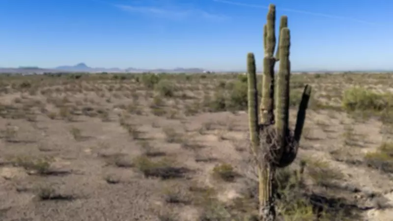 US Records Hottest March Day Ever as Heat Dome Intensifies Southwest