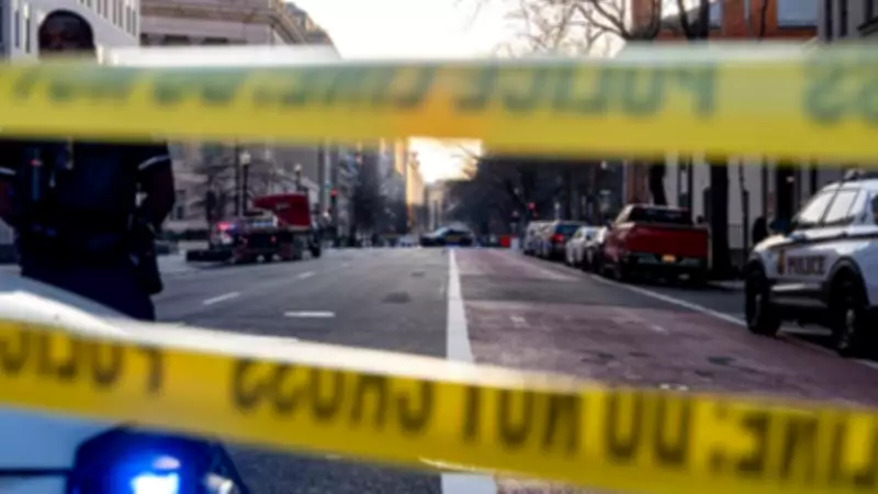 Van Crashes into White House Barricade, Driver Apprehended Without Injuries