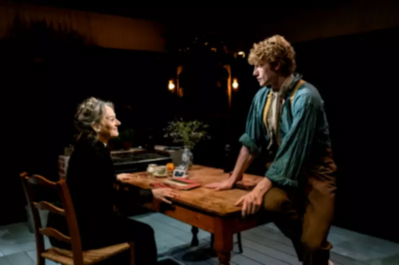 Vincent in Brixton Revival: Niamh Cusack Shines in Van Gogh Drama