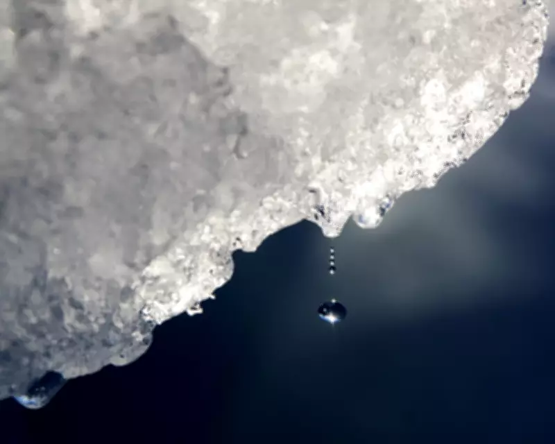 Warmer World, More Rain: How Climate Change Is Transforming Antarctica