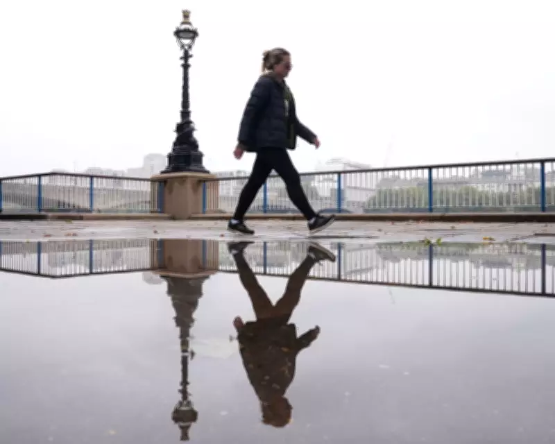 Weatherwatch: The Science and Significance of Puddles in UK Weather Patterns