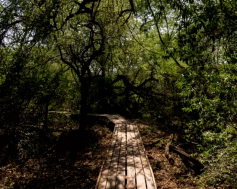 Weaving, Glamping, and Kayak Tours Combat Deforestation in Argentina's Gran Chaco