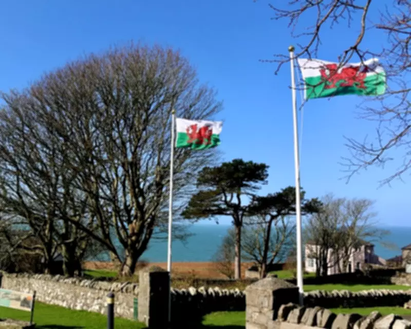 Welsh Language Surges as Adult Learners Rekindle Cultural Fire