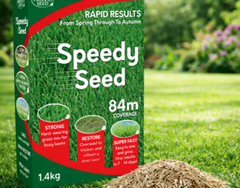 Why a £14 Grass Seed Box is Amazon's Top-Selling Garden Item This Spring