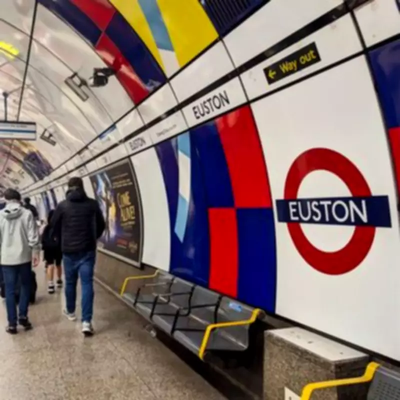 Woman Dies After Falling on Tracks at Euston Tube Station, Police Seek Witnesses