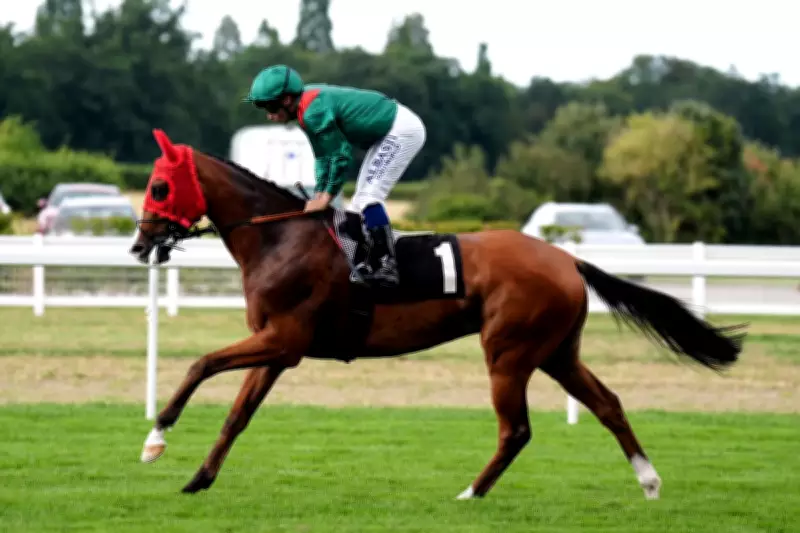 World's Top Flat Horse Calandagan to Race in Dubai Despite Gulf Conflict