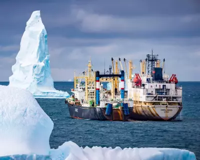 Antarctic Whale Recovery Threatened by Industrial Krill Fishing Industry