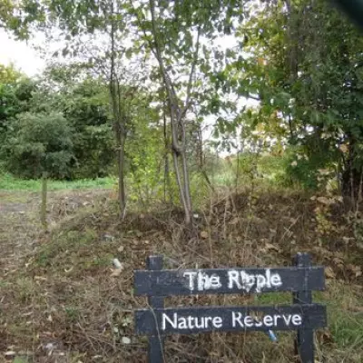 Barking's Ripple Nature Reserve Gets Restoration Hope Despite Funding Hurdles