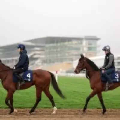 Cheltenham Festival 2026 Day 1: Full Race Card, Betting Odds & Expert Tips