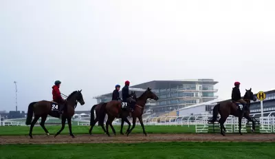 Cheltenham Festival Day One: The New Lion Poised for Champion Hurdle Victory