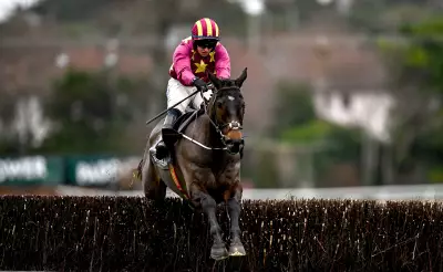 Cheltenham Festival Day Two: Expert Tips for Brown Advisory & Cross Country Chases