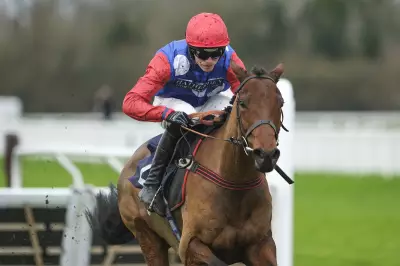 Cheltenham Festival: Ma Shantou Emerges as Stayers' Hurdle Contender