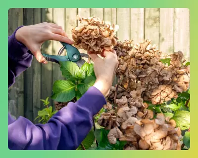 Essential Gardening Tools and Gear for Spring Pruning and Planting