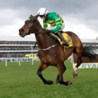 Fact To File Withdrawn from Cheltenham's Ryanair Chase Over Ground Conditions