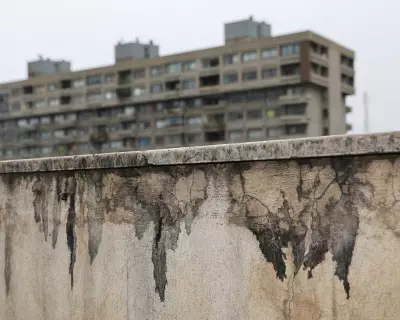 Iran's Black Rain: A Toxic Legacy of Conflict in War Zones