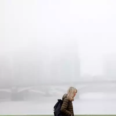 London Fog Expert Explains Persistent Misty Conditions and Forecasts Clearance