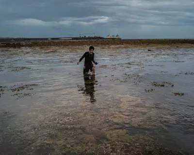 Mining for Green Energy Threatens Palawan's 'Last Ecological Frontier'