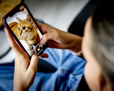 MPs Reject Under-16 Social Media Ban, But Grant New Powers to Secretary of State