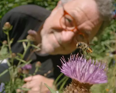 My Garden of a Thousand Bees: A Life-Changing Documentary on Urban Insects