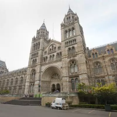 Natural History Museum Breaks UK Record as Top Tourist Attraction in 2025