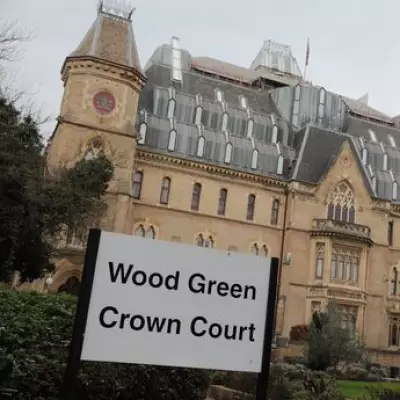 North London Couple Jailed After XL Bully-Type Dog Attacks Boy Twice