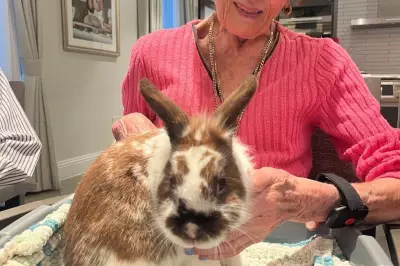 Petting Zoo Visit Delights Hendon Care Home Residents with Animal Encounters