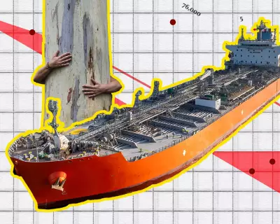 The Crunch Newsletter: Cyclone Narelle, Oil Flows, and Eucalyptus Data
