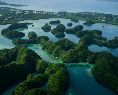 UK Cuts Climate Aid to Developing Nations, Jeopardizing Global Ecosystems