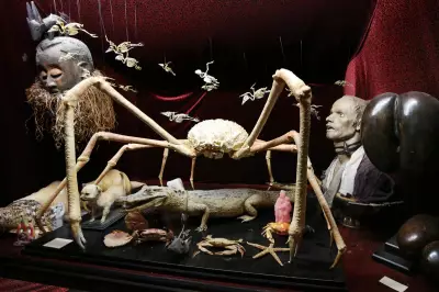 Viktor Wynd Museum of Curiosities: London's Weirdest Tourist Attraction