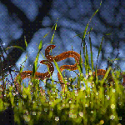 Worm Moon to Turn Blood-Red in Lunar Eclipse, But UK Viewers May Miss Out