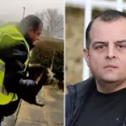 Amazon Driver Admits Stealing Family Cat, Faces Up to Five Years in Prison