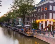 Amsterdam's Brown Bars: A Quest for Authentic Dutch Pub Culture