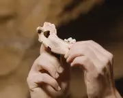 Ancient DNA Reveals Dogs Were Human Companions Over 15,000 Years Ago