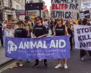 Animal Aid Files Legal Challenge Over 'Chilling' Protest Law Change