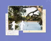 Australia's Iconic Waterhole: A Timeless Wonder Defying Modern Ravages