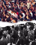 Australia's Social Cohesion Crisis: From Multicultural Promise to Fractured Reality