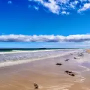 Bamburgh Beach Named World's Third Best 'One of a Kind' Destination