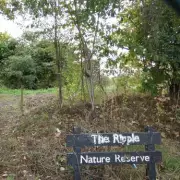 Barking's Ripple Nature Reserve Gets Restoration Hope Despite Funding Hurdles
