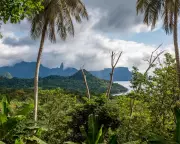 Billionaire Funds 'African Galapagos' Conservation with Cash Dividends for Villagers