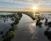 Blue-Sky Flood Threatens Longreach as Thomson River Rises Steadily