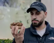 Britain's Luxury Bakery Boom: £25 Cookies and £45 Tarts Amid Cost Crisis