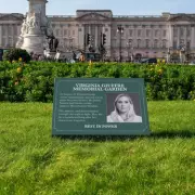 Buckingham Palace Gardens Transformed into Virginia Giuffre Memorial by Activists