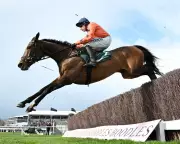 Cheltenham Cancels Final Three Race Days for Major Drainage Repairs