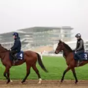 Cheltenham Festival 2026 Day 1: Full Race Card, Betting Odds & Expert Tips