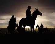 Cheltenham Festival 2026 Kicks Off with British Revival Hopes and Attendance Concerns