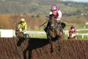 Cheltenham Gold Cup Betting Preview: Haiti Couleurs Tipped for Glory